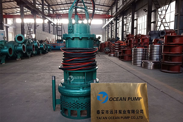 远洋牌潜水泥沙泵样图